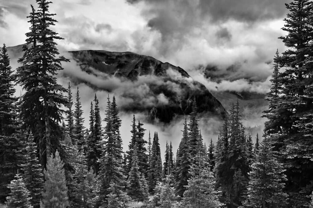 Evening Masquerade Mt Rainier National Park
