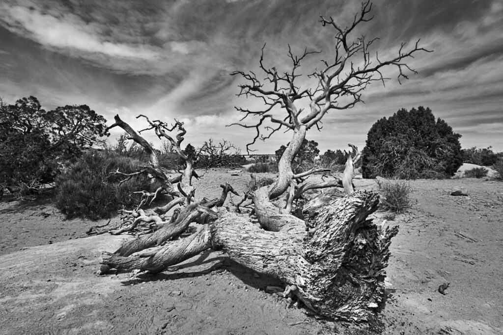 Left Behind Canyonlands National Park Utah