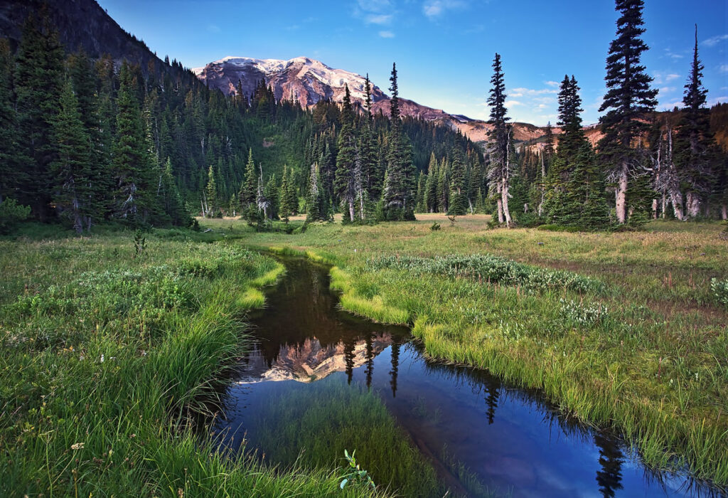 Nature Composed Mt Rainier National Park