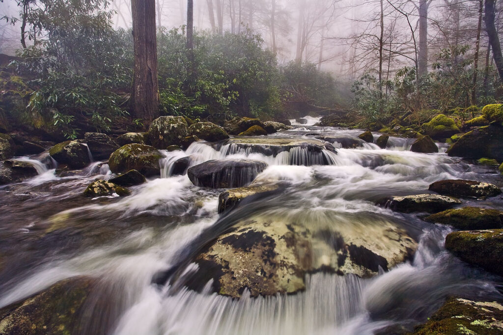 Smoky Waters Smoky National Park