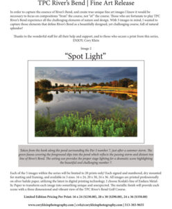 TPC Fine Art Release 'Spot Light'