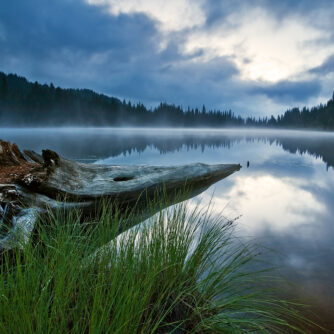 Cryptic Reflection at Reflection Lake Washington