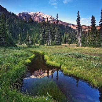 Nature Composed Mt Rainier National Park