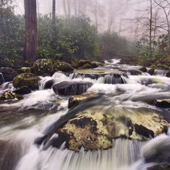 Smokie Fog Smoky Mountains National Park