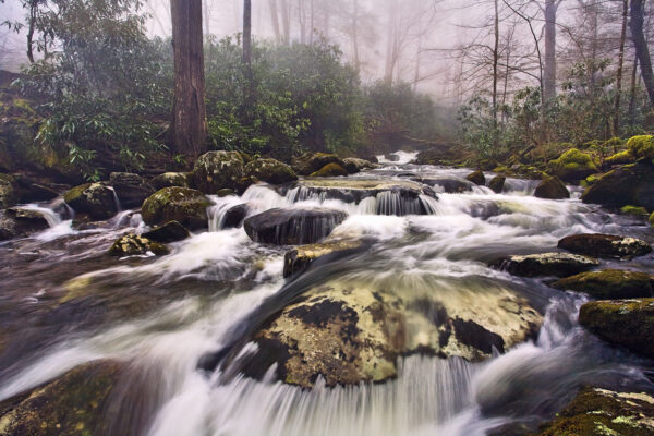 Smokie Fog Smoky Mountains National Park