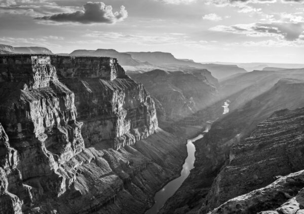 Tuweep Rim Grand Canyon